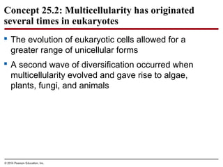 Concept 25.2: Multicellularity has originated
several times in eukaryotes
 The evolution of eukaryotic cells allowed for a
greater range of unicellular forms
 A second wave of diversification occurred when
multicellularity evolved and gave rise to algae,
plants, fungi, and animals
© 2014 Pearson Education, Inc.
 
