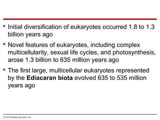  Initial diversification of eukaryotes occurred 1.8 to 1.3
billion years ago
 Novel features of eukaryotes, including complex
multicellularity, sexual life cycles, and photosynthesis,
arose 1.3 billion to 635 million years ago
 The first large, multicellular eukaryotes represented
by the Ediacaran biota evolved 635 to 535 million
years ago
© 2014 Pearson Education, Inc.
 