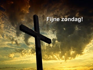 Fijne zondag!Fijne zondag!
 