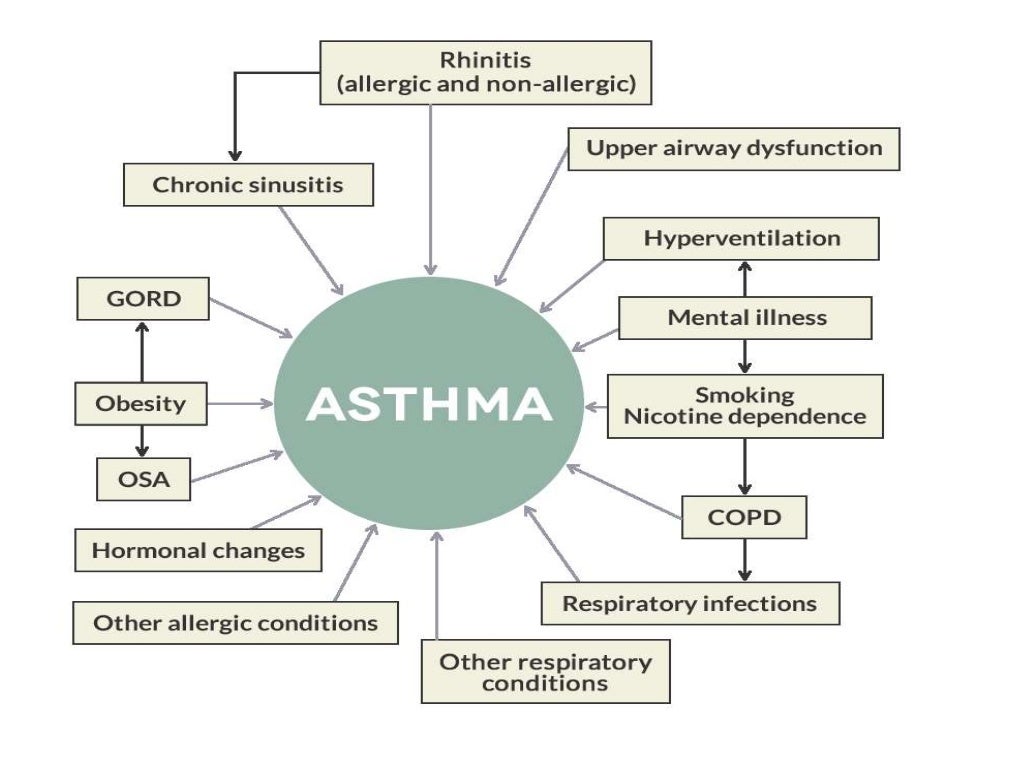 Bronchial Asthma Concept Map