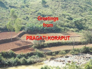 Greetings
     from

PRAGATI,KORAPUT
 