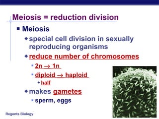 Meiosis = reduction division Meiosis special cell division in sexually reproducing organisms reduce number of chromosomes 2n    1n  diploid    haploid  half makes  gametes   sperm, eggs 