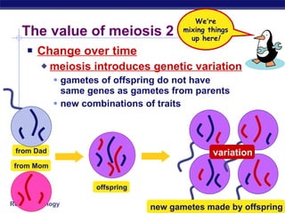 The value of meiosis 2 Change over time meiosis introduces genetic variation gametes of offspring do not have  same genes as gametes from parents new combinations of traits from Mom from Dad new gametes made by offspring offspring We ’ re mixing things up here ! variation 