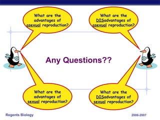 Any Questions?? 2006-2007 What are the DIS advantages of asexual  reproduction? What are the DIS advantages of sexual  reproduction? What are the advantages of sexual  reproduction? What are the advantages of asexual  reproduction? 