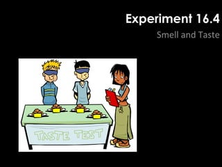Experiment 16.4
Smell and Taste
 