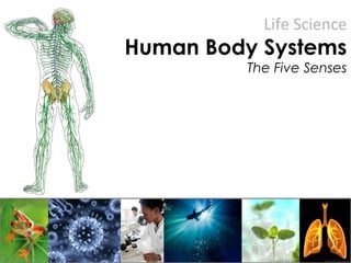 Life Science
Human Body Systems
The Five Senses
 