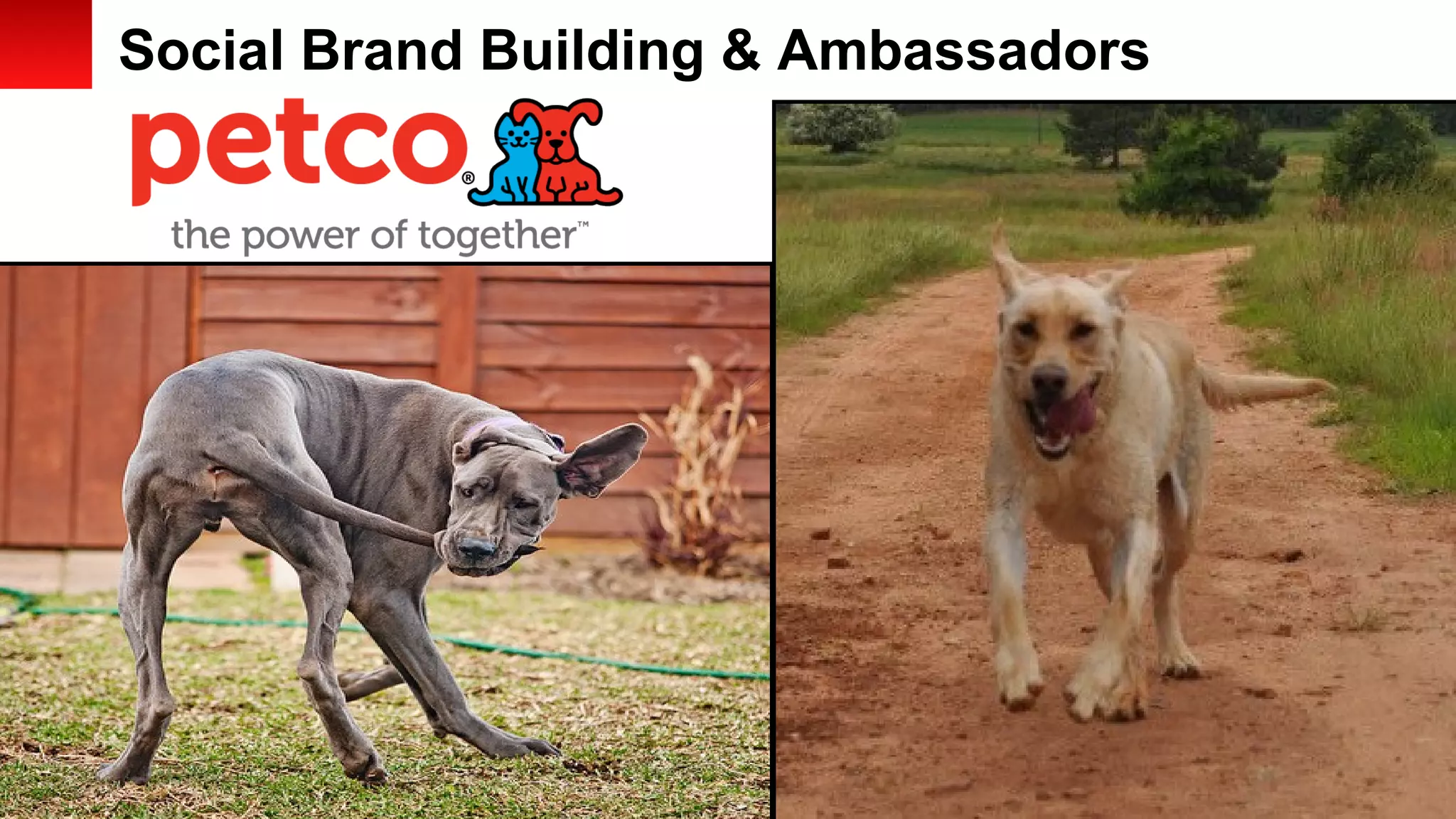 Social Brand Building & Ambassadors

7Copyright © 2013, Oracle and/or its affiliates. All rights reserved.

 