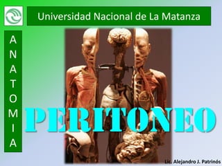 Universidad Nacional de La Matanza

A
N
A
T
O
M
I
A
    PERITONEO
                              Lic. Alejandro J. Patrinós
 