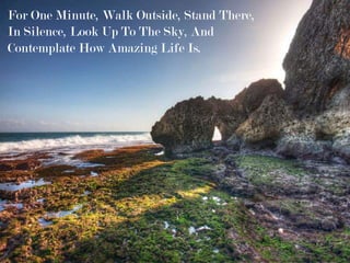 For One Minute, Walk Outside, Stand There,
In Silence, Look Up To The Sky, And
Contemplate How Amazing Life Is.
 