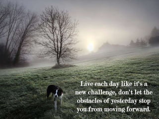 Live each day like it's a
new challenge, don't let the
obstacles of yesterday stop
you from moving forward.
 