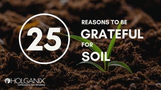 REASONS TO BE
GRATEFUL
FOR
SOIL
25
 