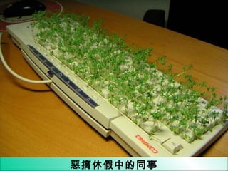 惡搞休假中的同事 