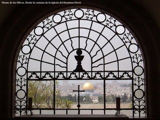 Monte de los Olivos. Desde la ventana de la Iglesia del Dominus Flevit 