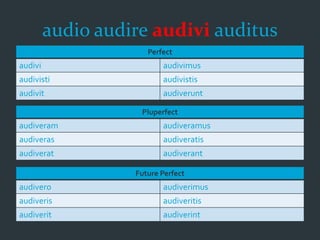 audio audire audivi auditus
Perfect
audivi audivimus
audivisti audivistis
audivit audiverunt
Pluperfect
audiveram audiveramus
audiveras audiveratis
audiverat audiverant
Future Perfect
audivero audiverimus
audiveris audiveritis
audiverit audiverint
 