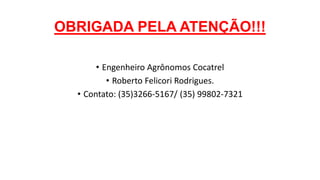 OBRIGADA PELA ATENÇÃO!!!
• Engenheiro Agrônomos Cocatrel
• Roberto Felicori Rodrigues.
• Contato: (35)3266-5167/ (35) 9980...