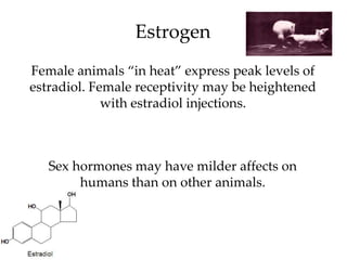 Estrogen
Female animals “in heat” express peak levels of
estradiol. Female receptivity may be heightened
             with...