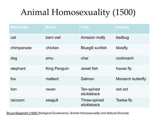 Animal Homosexuality (1500)
  Mammals                  Birds                    Fish                     Insects

  cat   ...