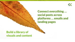 Connect everything …
social posts across
platforms … emails and
landing pages
Build a library of
visuals and content
 