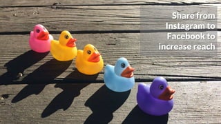 Share from
Instagram to
Facebook to
increase reach
 