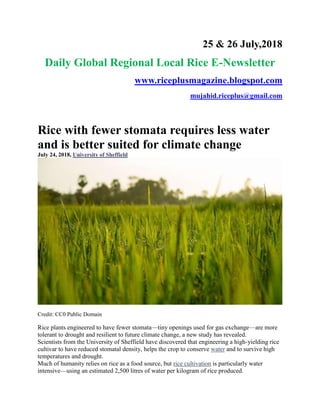 25 & 26 July,2018
Daily Global Regional Local Rice E-Newsletter
www.riceplusmagazine.blogspot.com
mujahid.riceplus@gmail.com
Rice with fewer stomata requires less water
and is better suited for climate change
July 24, 2018, University of Sheffield
Credit: CC0 Public Domain
Rice plants engineered to have fewer stomata—tiny openings used for gas exchange—are more
tolerant to drought and resilient to future climate change, a new study has revealed.
Scientists from the University of Sheffield have discovered that engineering a high-yielding rice
cultivar to have reduced stomatal density, helps the crop to conserve water and to survive high
temperatures and drought.
Much of humanity relies on rice as a food source, but rice cultivation is particularly water
intensive—using an estimated 2,500 litres of water per kilogram of rice produced.
 
