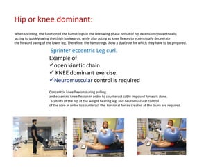 Figure 3. Hamstring catapult. Example of 
open kinetic chain, single leg 
HIP dominant exercise. Concentric hip extensio...