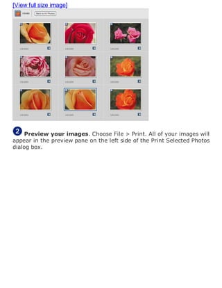 [View full size image]
Preview your images. Choose File > Print. All of your images will
appear in the preview pane on the left side of the Print Selected Photos
dialog box.
 