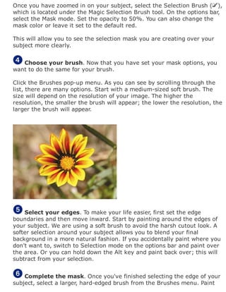 Once you have zoomed in on your subject, select the Selection Brush ( ),
which is located under the Magic Selection Brush tool. On the options bar,
select the Mask mode. Set the opacity to 50%. You can also change the
mask color or leave it set to the default red.
This will allow you to see the selection mask you are creating over your
subject more clearly.
Choose your brush. Now that you have set your mask options, you
want to do the same for your brush.
Click the Brushes pop-up menu. As you can see by scrolling through the
list, there are many options. Start with a medium-sized soft brush. The
size will depend on the resolution of your image. The higher the
resolution, the smaller the brush will appear; the lower the resolution, the
larger the brush will appear.
Select your edges. To make your life easier, first set the edge
boundaries and then move inward. Start by painting around the edges of
your subject. We are using a soft brush to avoid the harsh cutout look. A
softer selection around your subject allows you to blend your final
background in a more natural fashion. If you accidentally paint where you
don't want to, switch to Selection mode on the options bar and paint over
the area. Or you can hold down the Alt key and paint back over; this will
subtract from your selection.
Complete the mask. Once you've finished selecting the edge of your
subject, select a larger, hard-edged brush from the Brushes menu. Paint
 