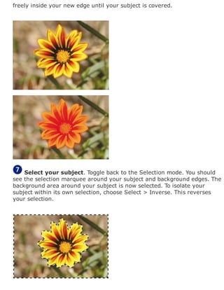 freely inside your new edge until your subject is covered.
Select your subject. Toggle back to the Selection mode. You should
see the selection marquee around your subject and background edges. The
background area around your subject is now selected. To isolate your
subject within its own selection, choose Select > Inverse. This reverses
your selection.
 