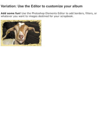 Variation: Use the Editor to customize your album
Add some fun! Use the Photoshop Elements Editor to add borders, filters, or
whatever you want to images destined for your scrapbook.
 