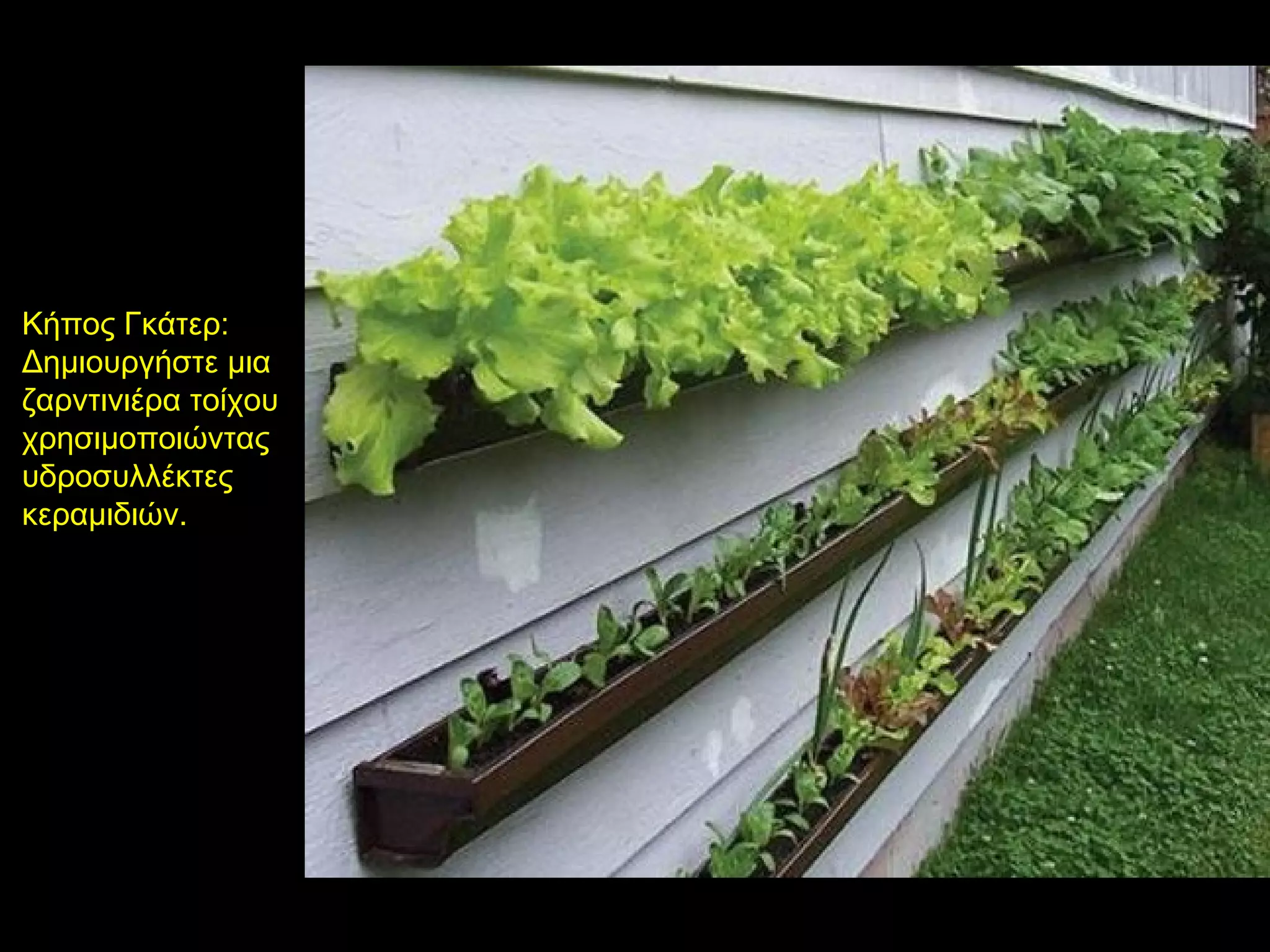 Κήπος Γκάτερ:
Δημιουργήστε μια
ζαρντινιέρα τοίχου
χρησιμοποιώντας
υδροσυλλέκτες
κεραμιδιών.
 