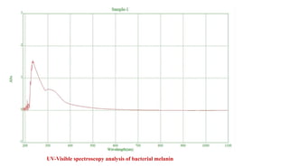 UV-Visible spectroscopy analysis of bacterial melanin
 