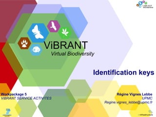 Identification keys Régine Vignes Lebbe UPMC [email_address] ViBRANT Virtual Biodiversity Workpackage 5 ViBRANT SERVICE ACTIVITES 