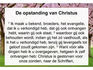 De opstanding van Christus
1 Ik maak u bekend, broeders, het evangelie,
dat ik u verkondigd heb, dat gij ook ontvangen
hebt, waarin gij ook staat, 2 waardoor gij ook
behouden wordt, indien gij het zó vasthoudt, als
ik het u verkondigd heb, tenzij gij tevergeefs tot
geloof zoudt gekomen zijn. 3 Want vóór alle
dingen heb ik u overgegeven, hetgeen ik zelf
ontvangen heb: Christus is gestorven voor
onze zonden, naar de Schriften,
 