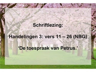 Schriftlezing:
Handelingen 3: vers 11 – 26 (NBG)
‘De toespraak van Petrus.’
 