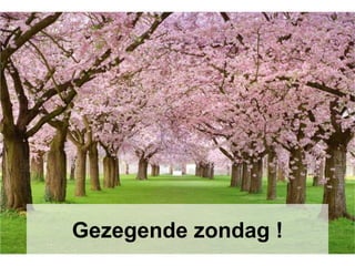 Gezegende zondag !
 