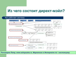 Из чего состоит директ-мэйл? Пономарев Петр , www.eshopsales.ru.  Маркетинг в Интернете по - настоящему Как работает система: 