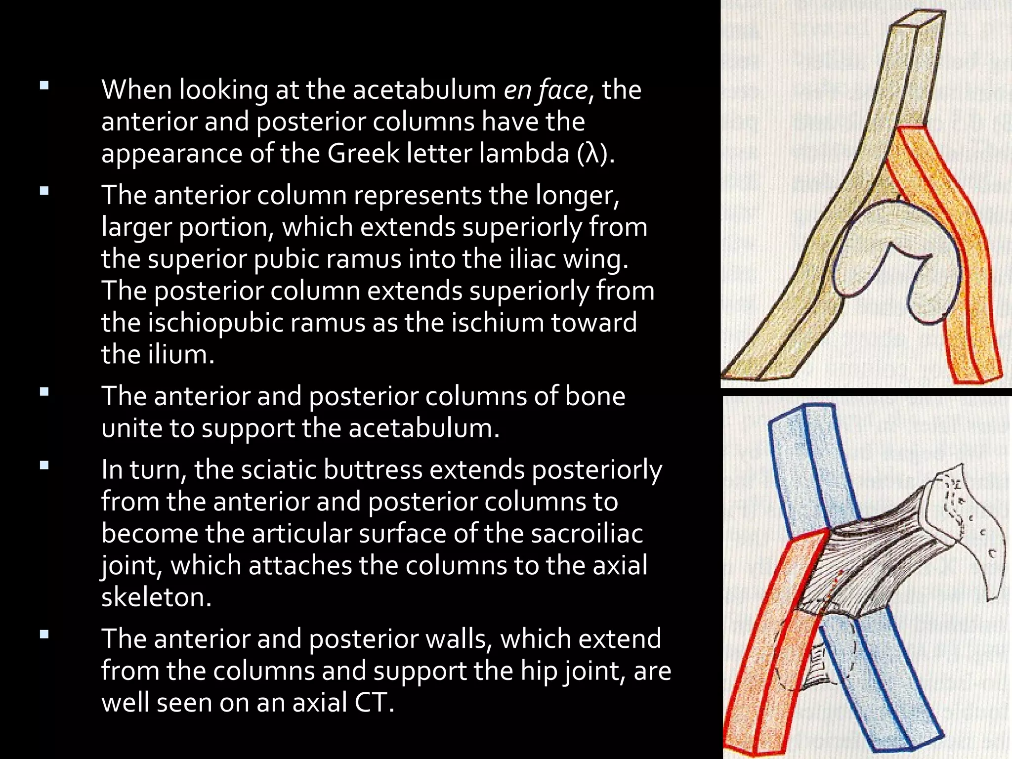 26. acetabular fractures anatomy, evaluation and classification ...