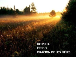 HOMILIA
CREDO
ORACION DE LOS FIELES

 