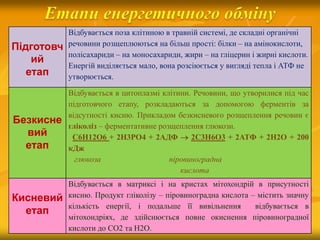 Підготовч
ий
етап
Відбувається поза клітиною в травній системі, де складні органічні
речовини розщеплюються на більш прості: білки – на амінокислоти,
полісахариди – на моносахариди, жири – на гліцерин і жирні кислоти.
Енергій виділяється мало, вона розсіюється у вигляді тепла і АТФ не
утворюється.
Безкисне
вий
етап
Відбувається в цитоплазмі клітини. Речовини, що утворилися під час
підготовчого етапу, розкладаються за допомогою ферментів за
відсутності кисню. Прикладом безкисневого розщеплення речовин є
гліколіз – ферментативне розщеплення глюкози.
С6Н12О6 + 2Н3РО4 + 2АДФ  2С3Н6О3 + 2АТФ + 2Н2О + 200
кДж
глюкоза піровиноградна
кислота
Кисневий
етап
Відбувається в матриксі і на кристах мітохондрій в присутності
кисню. Продукт гліколізу – піровиноградна кислота – містить значну
кількість енергії, і подальше її вивільнення відбувається в
мітохондріях, де здійснюється повне окиснення піровиноградної
кислоти до СО2 та Н2О.
 
