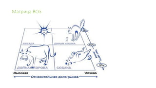 Матрица BCG
 