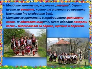  Младите момичета, наречени „ “, берат
цветя за венците, които ще оплетат за празника
Цветница (на следващия ден).
 Момите са пременени в традиционни фолклорни
носии. Те обикалят къщите. Пеят обредни лазарски
песни и благославят за здраве, щастие и берекет.
 