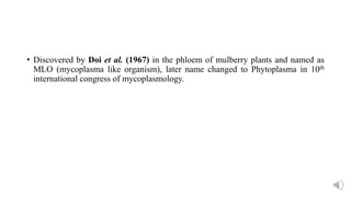 • Discovered by Doi et al. (1967) in the phloem of mulberry plants and named as
MLO (mycoplasma like organism), later name changed to Phytoplasma in 10th
international congress of mycoplasmology.
 
