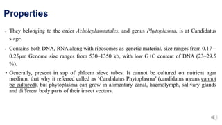 Properties
• They belonging to the order Acholeplasmatales, and genus Phytoplasma, is at Candidatus
stage.
• Contains both DNA, RNA along with ribosomes as genetic material, size ranges from 0.17 –
0.25µm Genome size ranges from 530–1350 kb, with low G+C content of DNA (23–29.5
%).
• Generally, present in sap of phloem sieve tubes. It cannot be cultured on nutrient agar
medium, that why it referred called as ‘Candidatus Phytoplasma’ (candidatus means cannot
be cultured), but phytoplasma can grow in alimentary canal, haemolymph, salivary glands
and different body parts of their insect vectors.
 