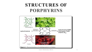 DPT - Biochemistry & Genetics - II (Metabolism of Proteins) Specialized ...
