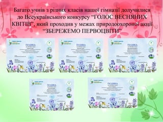 Багато учнів з різних класів нашої гімназії долучилися
до Всеукраїнського конкурсу “ГОЛОС ВЕСНЯНИХ
КВІТІВ”, який проходив у межах природоохороної акції
“ЗБЕРЕЖЕМО ПЕРВОЦВІТИ”
 