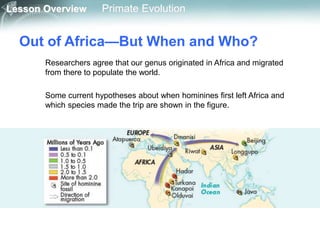 Lesson Overview Primate Evolution
Out of Africa—But When and Who?
Researchers agree that our genus originated in Africa and migrated
from there to populate the world.
Some current hypotheses about when hominines first left Africa and
which species made the trip are shown in the figure.
 