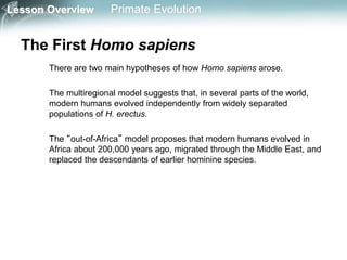 Lesson Overview Primate Evolution
The First Homo sapiens
There are two main hypotheses of how Homo sapiens arose.
The multiregional model suggests that, in several parts of the world,
modern humans evolved independently from widely separated
populations of H. erectus.
The “out-of-Africa” model proposes that modern humans evolved in
Africa about 200,000 years ago, migrated through the Middle East, and
replaced the descendants of earlier hominine species.
 