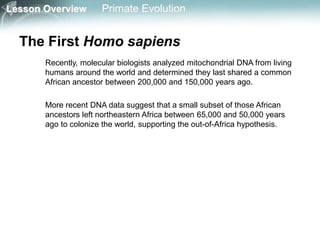 Lesson Overview Primate Evolution
The First Homo sapiens
Recently, molecular biologists analyzed mitochondrial DNA from living
humans around the world and determined they last shared a common
African ancestor between 200,000 and 150,000 years ago.
More recent DNA data suggest that a small subset of those African
ancestors left northeastern Africa between 65,000 and 50,000 years
ago to colonize the world, supporting the out-of-Africa hypothesis.
 