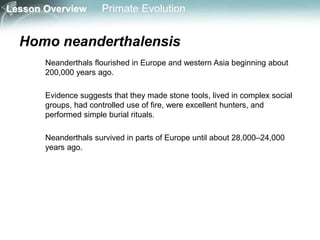 Lesson Overview Primate Evolution
Homo neanderthalensis
Neanderthals flourished in Europe and western Asia beginning about
200,000 years ago.
Evidence suggests that they made stone tools, lived in complex social
groups, had controlled use of fire, were excellent hunters, and
performed simple burial rituals.
Neanderthals survived in parts of Europe until about 28,000–24,000
years ago.
 