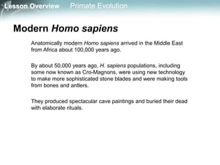 Lesson Overview Primate Evolution
Modern Homo sapiens
Anatomically modern Homo sapiens arrived in the Middle East
from Africa about 100,000 years ago.
By about 50,000 years ago, H. sapiens populations, including
some now known as Cro-Magnons, were using new technology
to make more sophisticated stone blades and were making tools
from bones and antlers.
They produced spectacular cave paintings and buried their dead
with elaborate rituals.
 